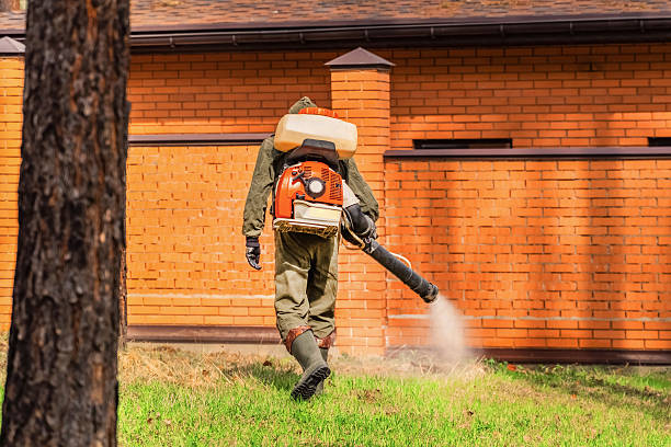 Trusted Ant Control service in Kearney Park, MS - Nex Pest Control